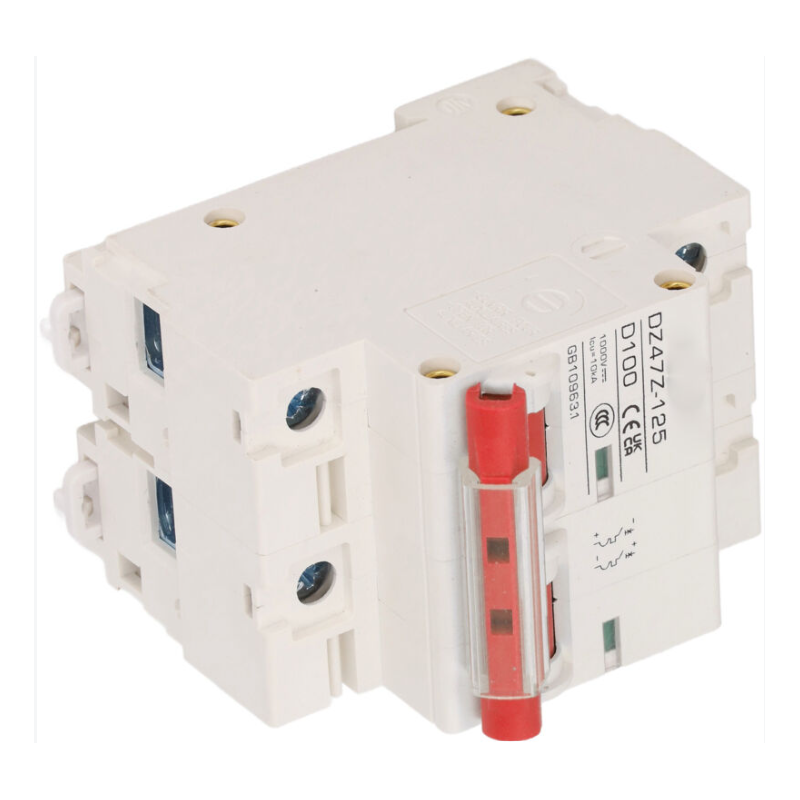 Eosnow DC Circuit Breaker 2P DZ47Z-125 100A – Miniature DIN Rail Circuit Breaker for Solar Photovoltaic Systems, 1000V, Red