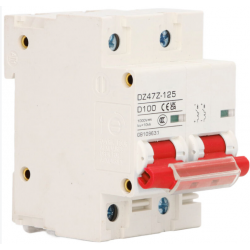 Eosnow DC Circuit Breaker 2P DZ47Z-125 100A – Miniature DIN Rail Circuit Breaker for Solar Photovoltaic Systems, 1000V, Red